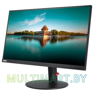 Монитор Lenovo ThinkVision T24i-10 61CEMAT2EU картинка 2